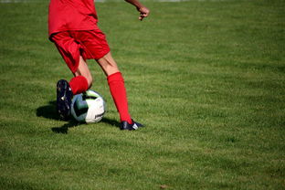 乐鱼娱乐app-体育新闻中心发布体育赛事AI辅助裁判系统,ai裁判 体操