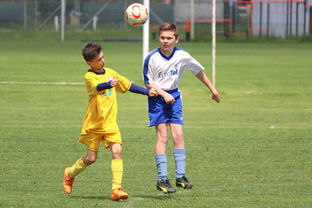 乐鱼(中国)体育官方网站-奥地利男篮在欧洲预赛中崭露头角,冲击奥运