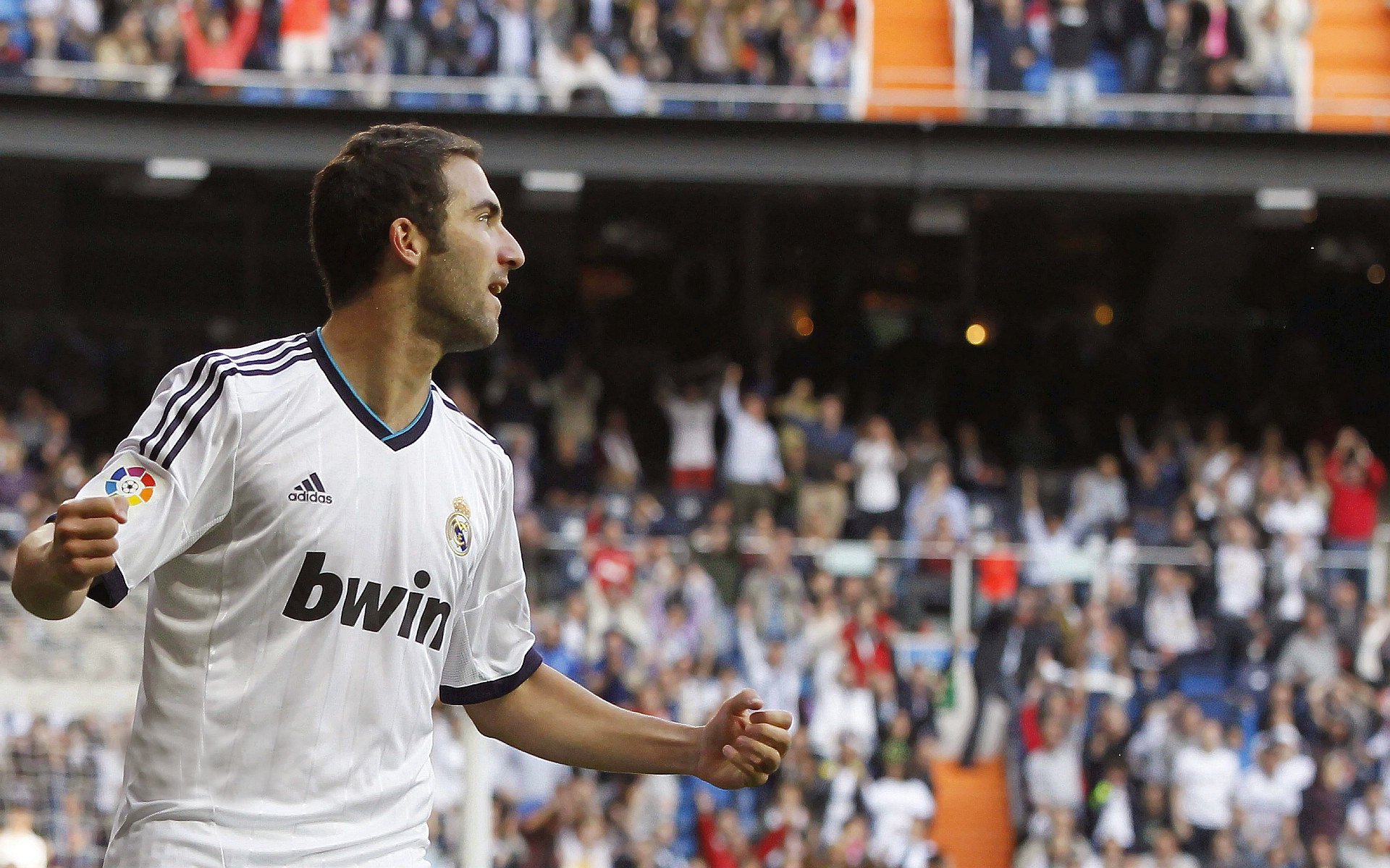 Leyu Sports (乐鱼体育)-西甲激情对抗:明星战士逐梦绿茵场!,西甲足球视频