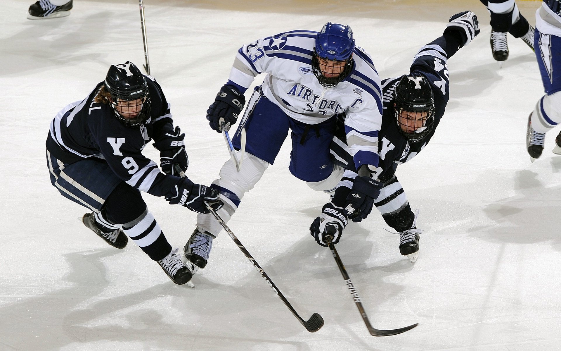 世界青少年橄榄球赛 新西兰U20横扫同龄群体 再现“全黑少年军”